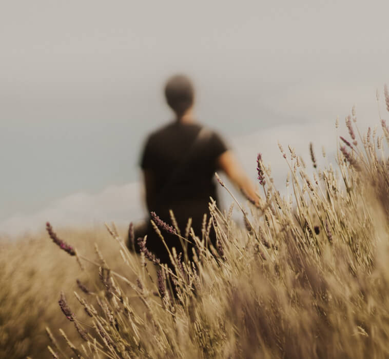 serene landscape with person walking